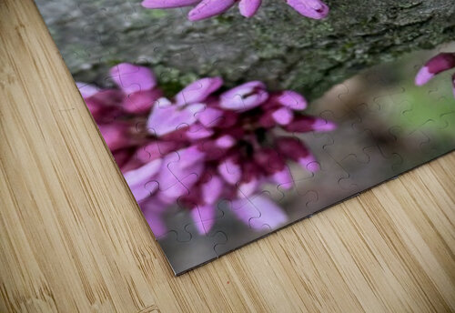 Beautiful buds Ben Pettus puzzle