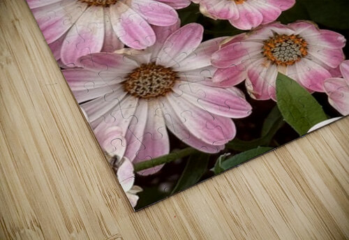 Pinkalicious Ben Pettus puzzle