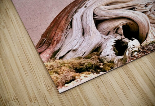 Miniature Giant Ben Pettus puzzle