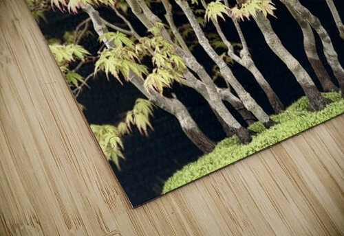 Forest for the trees Ben Pettus puzzle