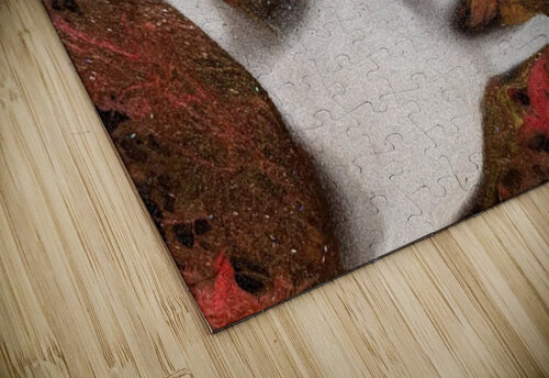 High Five Ben Pettus puzzle