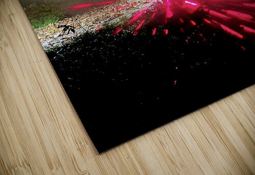 Faded or Future Ben Pettus puzzle