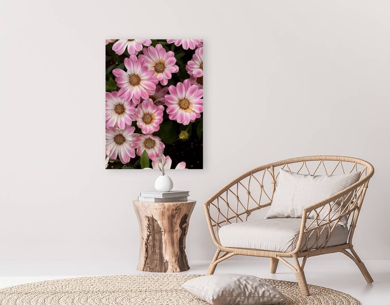 Pinkalicious Reproduction