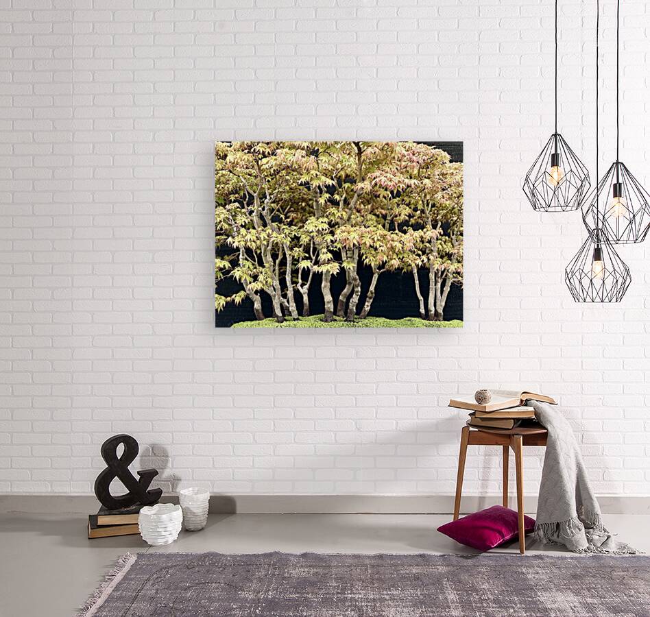 Forest for the trees Reproduction