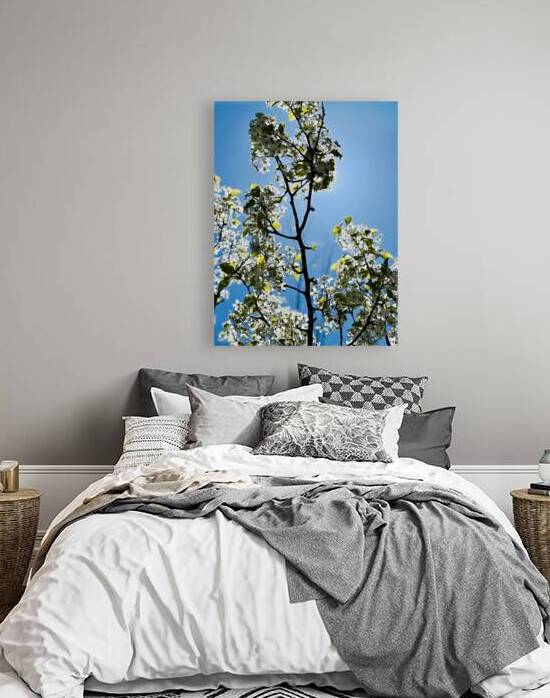 Sunshine in Spring Reproduction