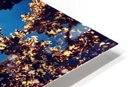 Sheltered Impression metal HD