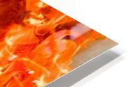 Wreathed in fire HD Metal print