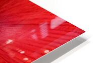 Red blossom  HD Metal print