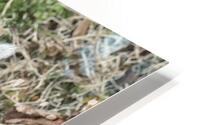 Fragile footing HD Metal print