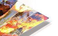 Colorful Koi HD Metal print