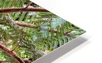Sprouting life HD Metal print