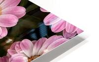 Pinkalicious HD Metal print