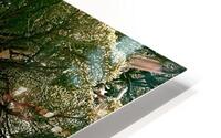 Miniature Giant HD Metal print
