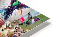 hummingbirds HD Metal print