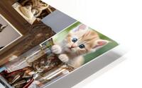 Kitty dreams HD Metal print