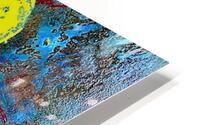Faded Beauty HD Metal print