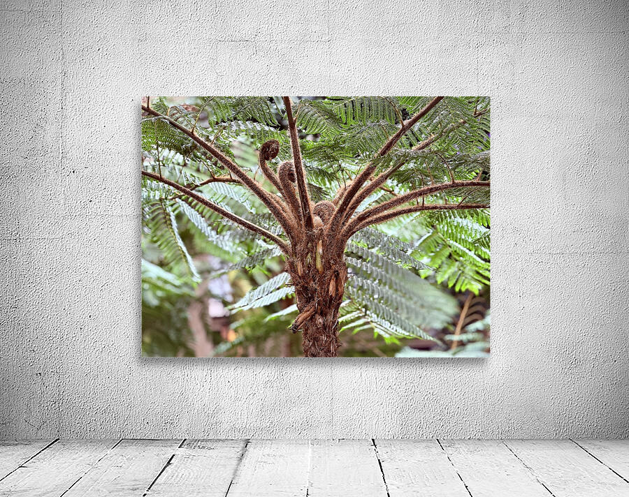 Sprouting life Wall Preview