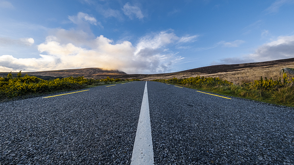 The Road Digital Download