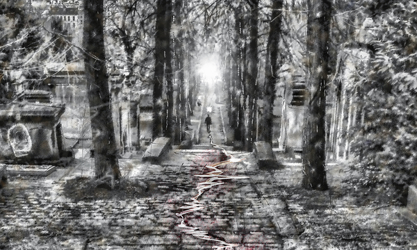 The Stranger Digital Download