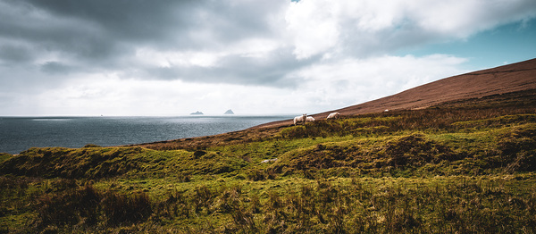 Valentia Island Digital Download