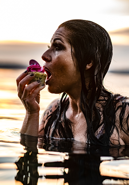 CCCI 14 Digital Download