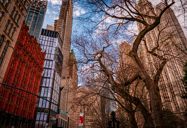 Standing on the Edge of Summer Digital Download