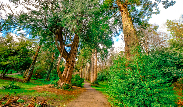 Powerscourt Gardens Digital Download
