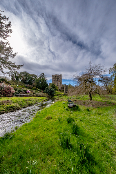 Blarney Castle II Digital Download