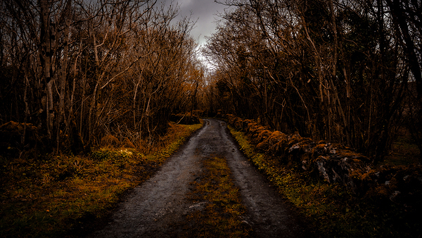 Burren National Park III Digital Download