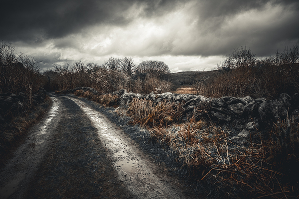 Burren National Park IV Digital Download