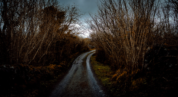 Burren National Park V Digital Download