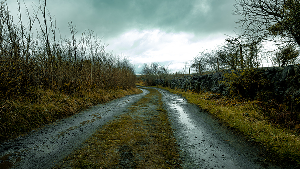 Burren National Park VI Digital Download