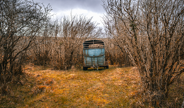 Burren National Park Digital Download