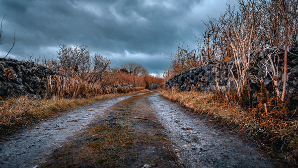 Burren National Park Digital Download