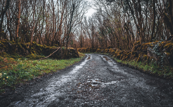 Burren National Park I Digital Download