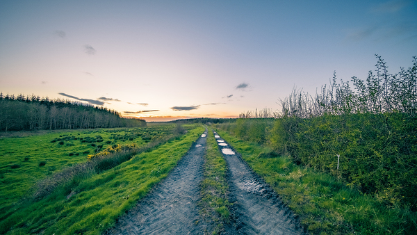 Irish Road Digital Download