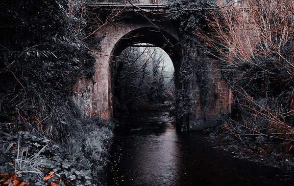 Lisdoovarna Digital Download