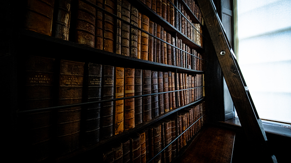 Marshs Library II Digital Download