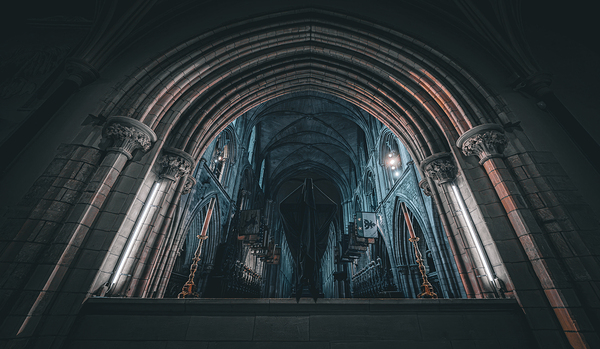 Saint Patricks Cathedral I Digital Download