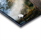 Old Man & The River Acrylic print