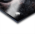 Lisdoovarna Acrylic print