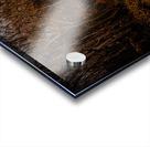 Burren National Park III Acrylic print