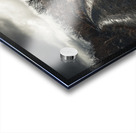 Burren National Park IV Acrylic print