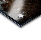 Burren National Park V Acrylic print