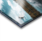 Swan I Acrylic print