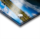 Swan II Acrylic print