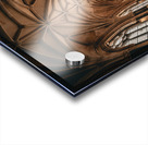 The neo-Gothic Church Acrylic print