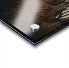 The neo-Gothic Church IV Acrylic print