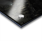 Saint Patricks Cathedral Acrylic print