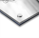 CCCI 25 Acrylic print